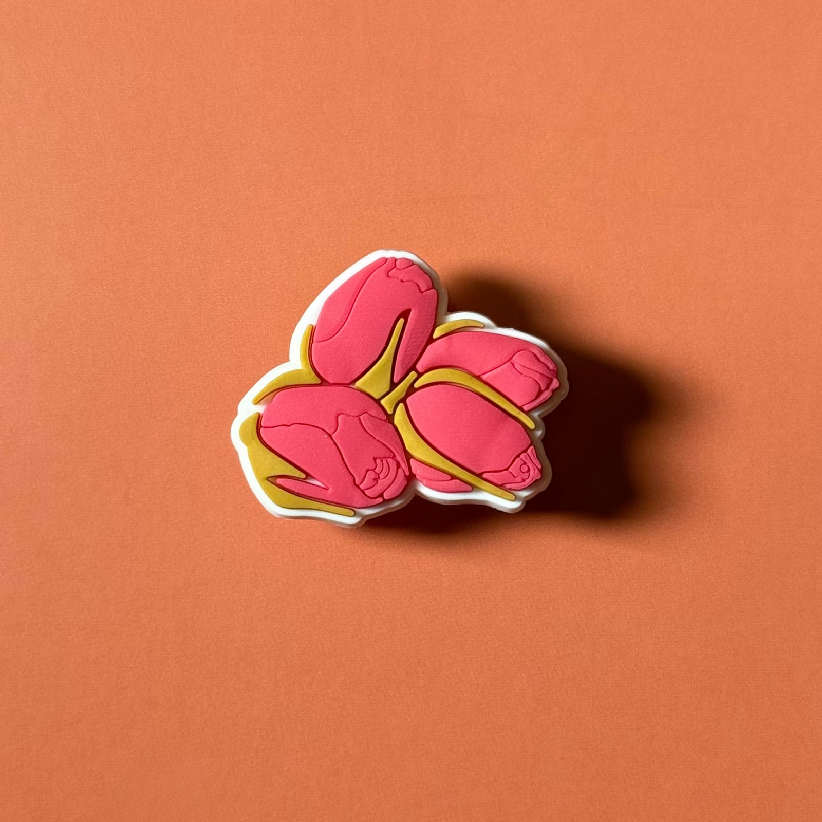 Boutons de Roses
