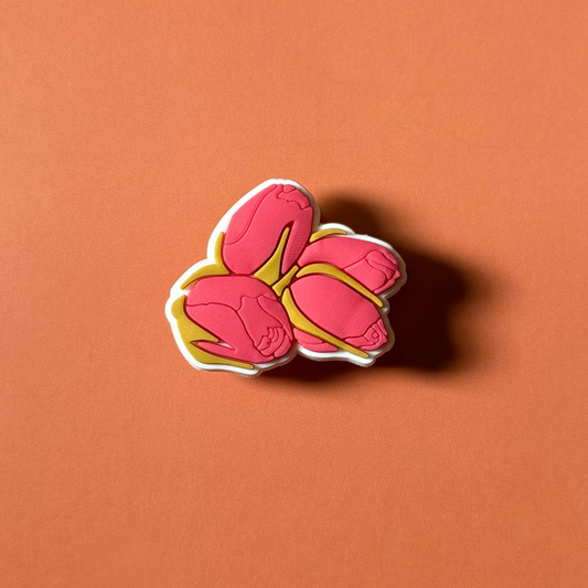 Boutons de Roses
