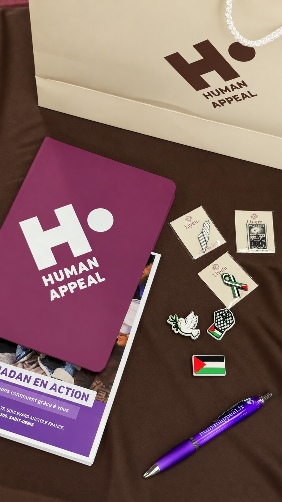 Pin's LIYEM Palestine avec les supports de Human Appeal